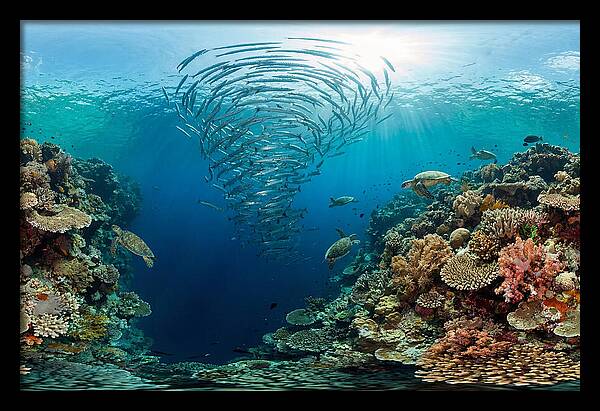 Sipadan Island Underwater Wonders