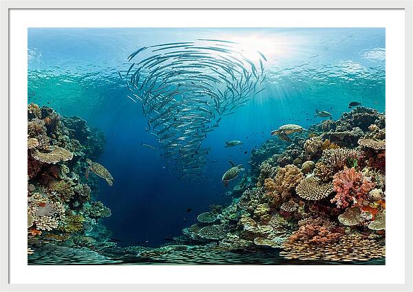 Sipadan Island Underwater Wonders