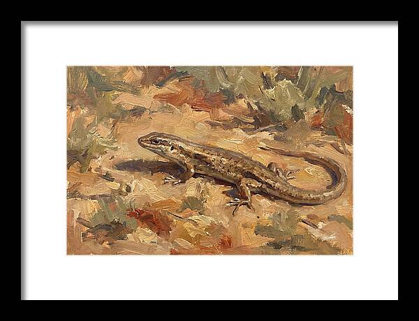 Skink On The Ground