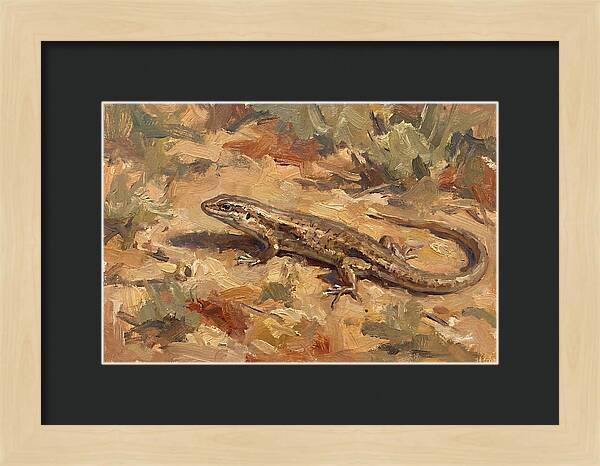 Skink On The Ground