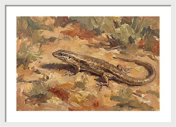 Skink On The Ground
