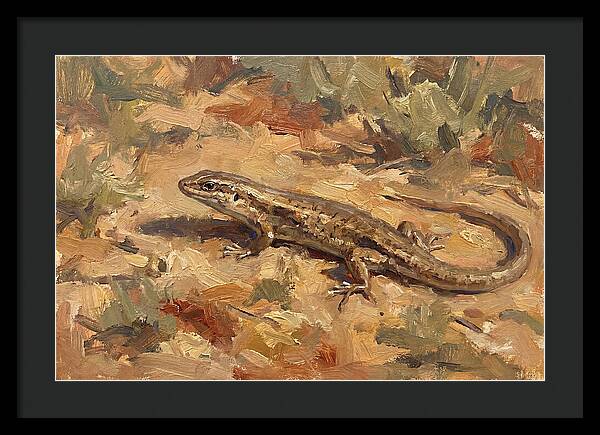 Skink On The Ground