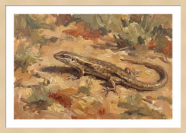 Skink On The Ground
