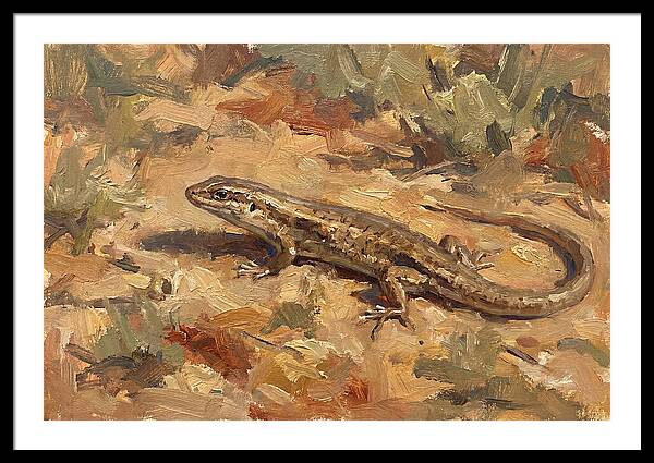 Skink On The Ground