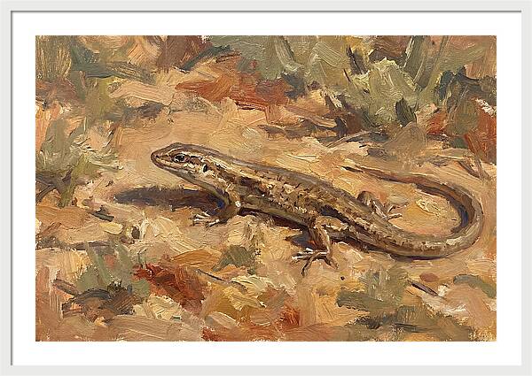 Skink On The Ground