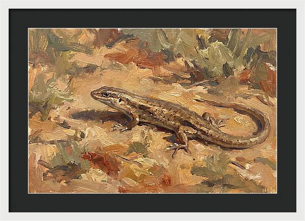Skink On The Ground
