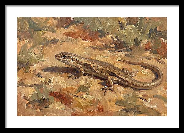 Skink On The Ground