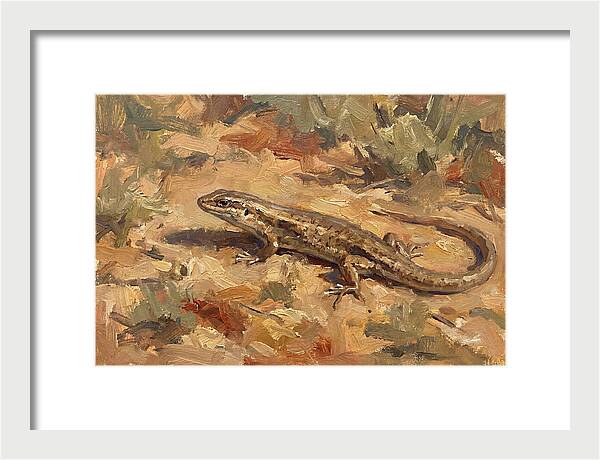 Skink On The Ground