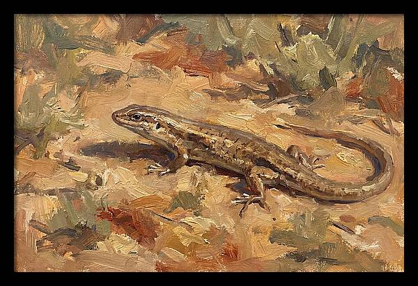Skink On The Ground