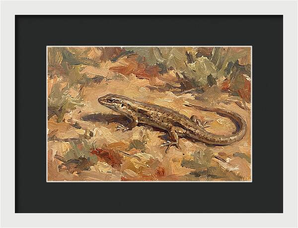 Skink On The Ground