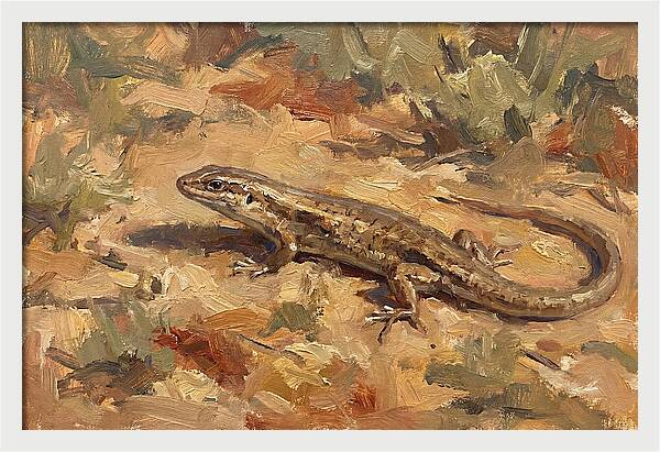 Skink On The Ground