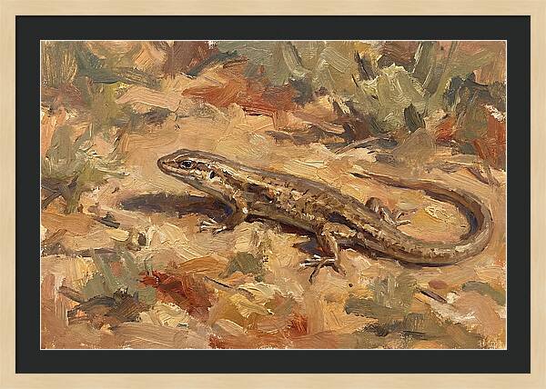 Skink On The Ground