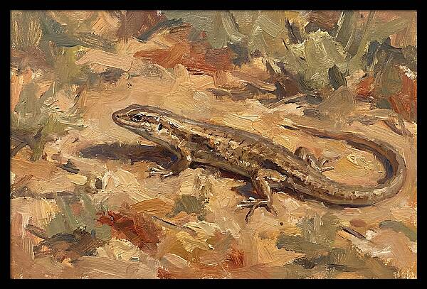 Skink On The Ground