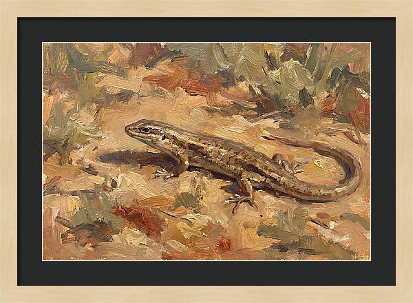 Skink On The Ground
