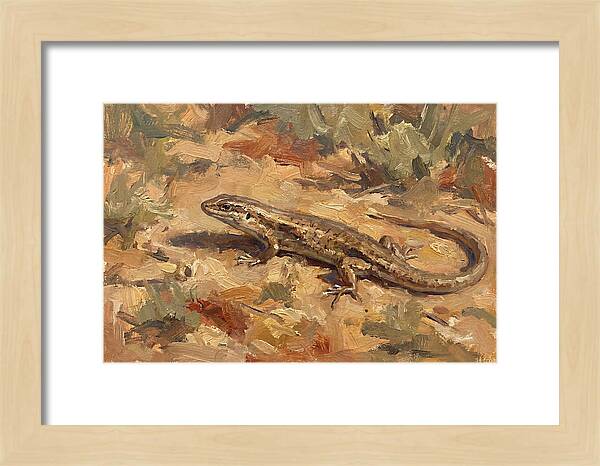 Skink On The Ground