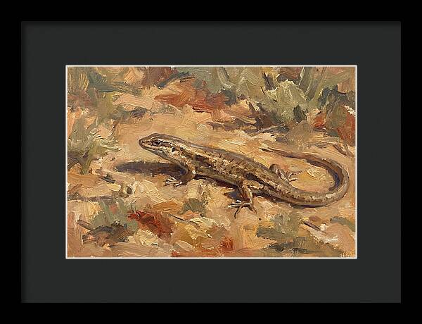 Skink On The Ground