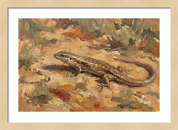 Skink On The Ground
