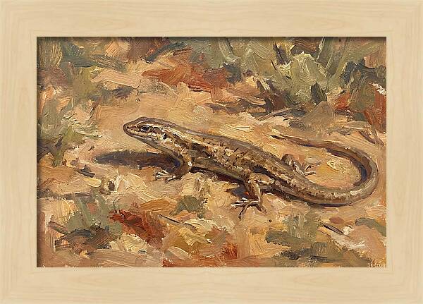 Skink On The Ground
