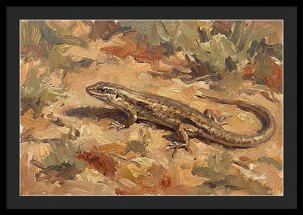 Skink On The Ground