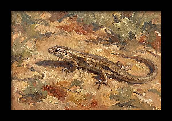 Skink On The Ground
