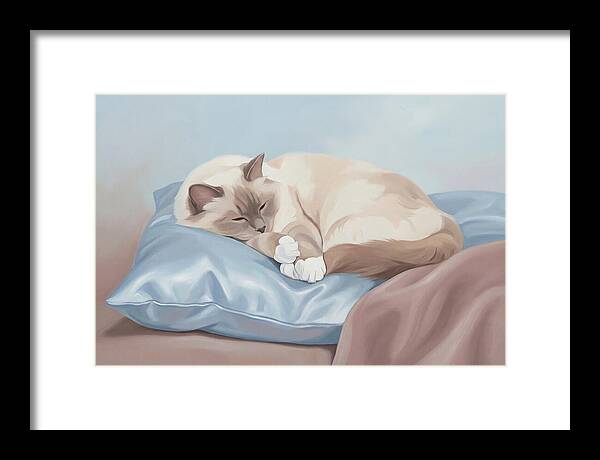 Sleeping Birman Cat On Silk Pillow