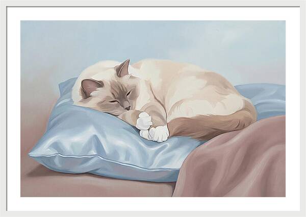 Sleeping Birman Cat On Silk Pillow