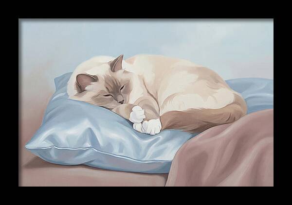 Sleeping Birman Cat On Silk Pillow