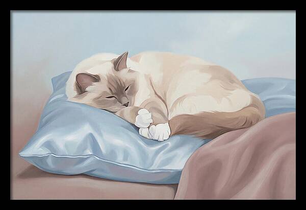 Sleeping Birman Cat On Silk Pillow
