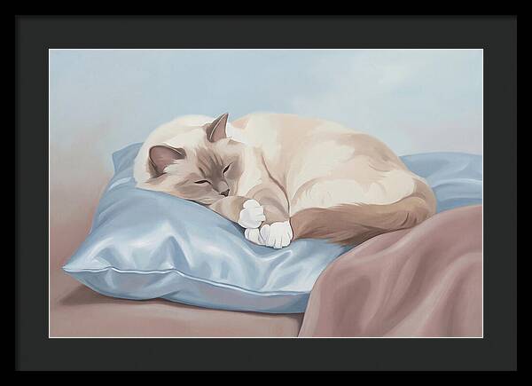 Sleeping Birman Cat On Silk Pillow