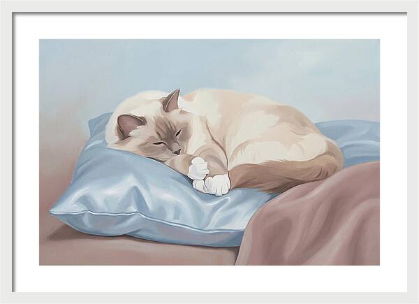 Sleeping Birman Cat On Silk Pillow
