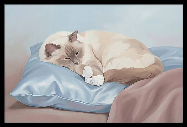 Sleeping Birman Cat On Silk Pillow