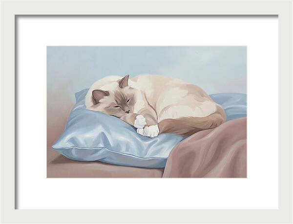 Sleeping Birman Cat On Silk Pillow