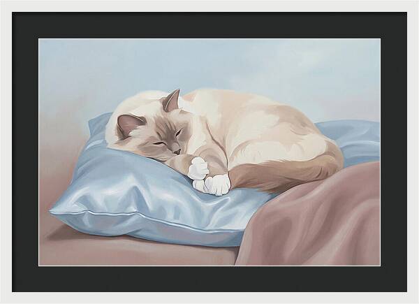 Sleeping Birman Cat On Silk Pillow