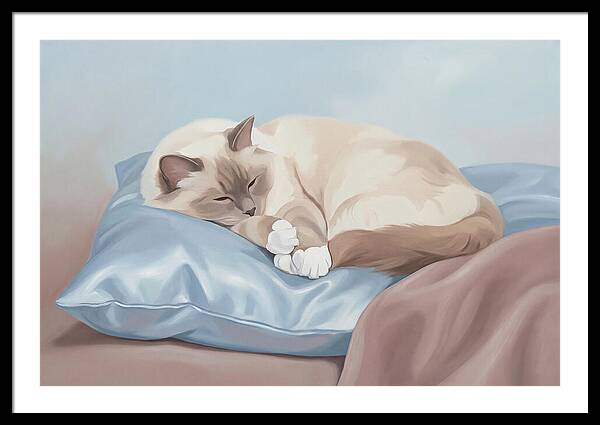 Sleeping Birman Cat On Silk Pillow