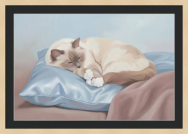 Sleeping Birman Cat On Silk Pillow