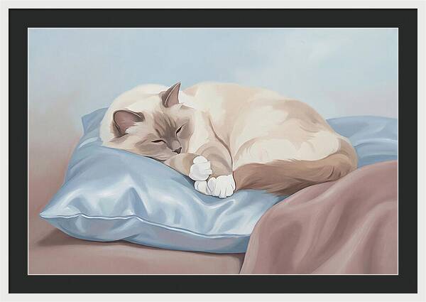 Sleeping Birman Cat On Silk Pillow