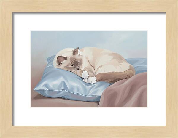 Sleeping Birman Cat On Silk Pillow