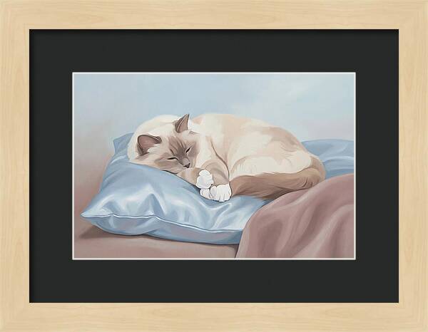 Sleeping Birman Cat On Silk Pillow