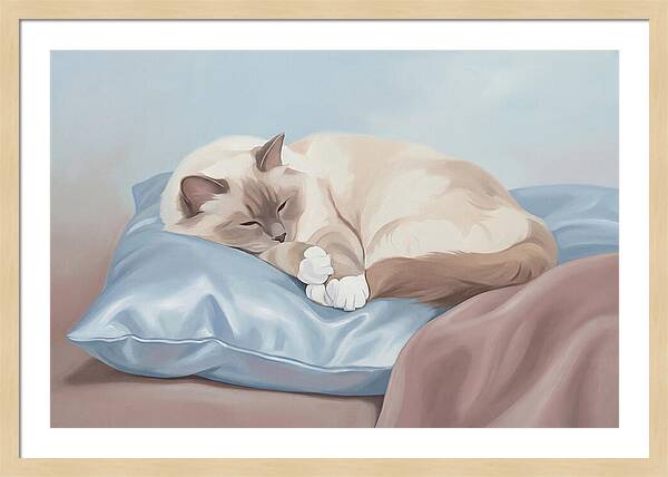 Sleeping Birman Cat On Silk Pillow
