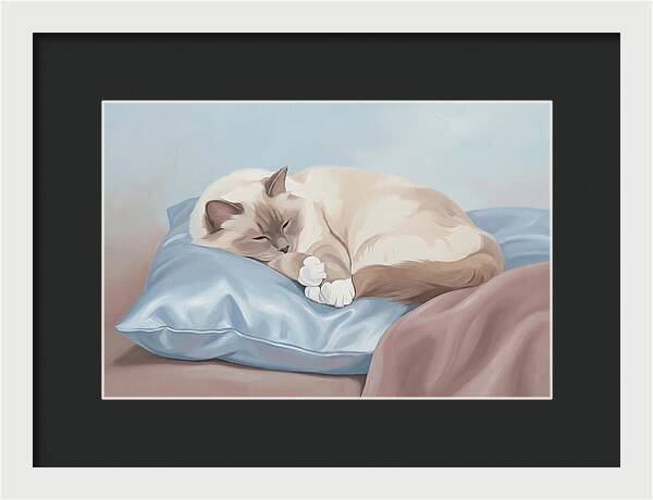 Sleeping Birman Cat On Silk Pillow