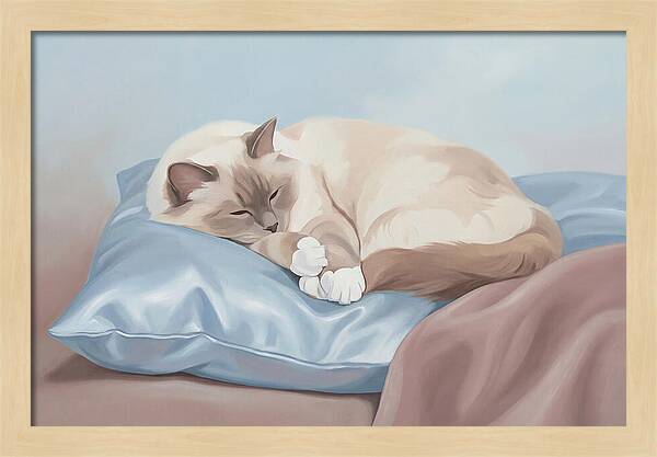 Sleeping Birman Cat On Silk Pillow