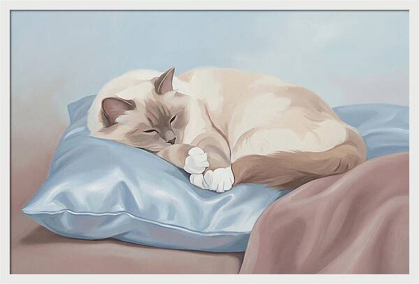Sleeping Birman Cat On Silk Pillow