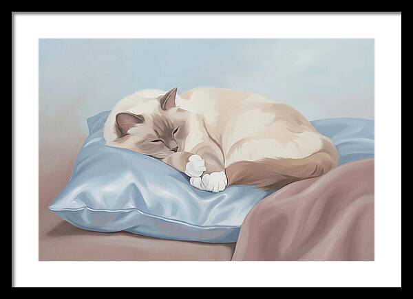 Sleeping Birman Cat On Silk Pillow