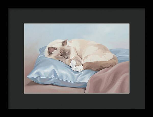 Sleeping Birman Cat On Silk Pillow