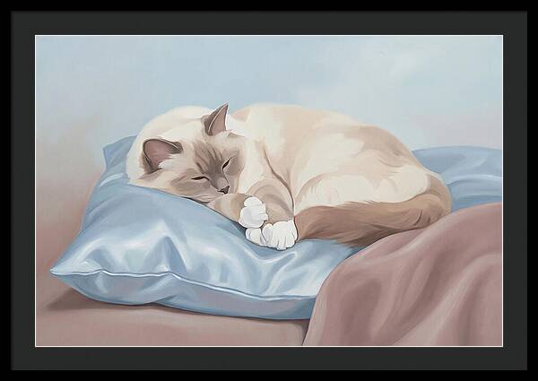 Sleeping Birman Cat On Silk Pillow