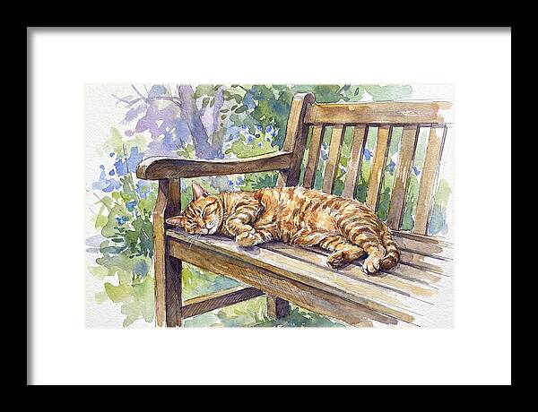 Sleeping Cat On A Bench
