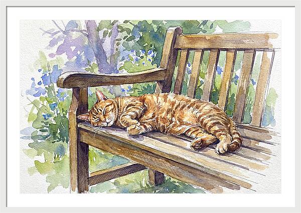 Sleeping Cat On A Bench