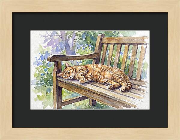 Sleeping Cat On A Bench