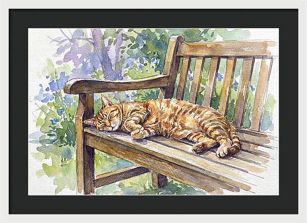 Sleeping Cat On A Bench