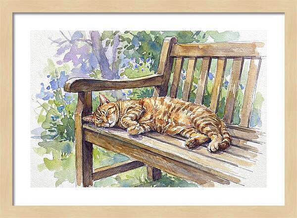 Sleeping Cat On A Bench